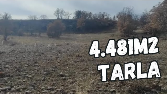 KONYA HADİM AŞAĞIEŞENLER KÖYÜNDE 4.481 M² TARLAMIZ SATILIKTIR. - KONYA HADİM fotoğraf 14